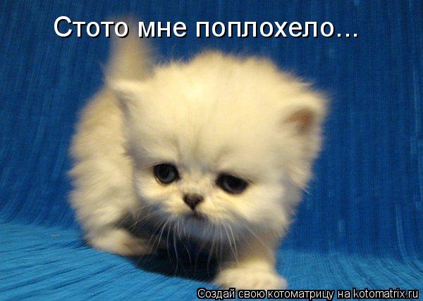 Стото мне поплохело...... Котоматрица: Стото мне поплохело...