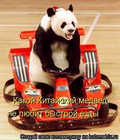 Какой Китайский медвед, не любит быстрой езды... Котоматрица: Какой Китайский медвед, не любит быстрой езды