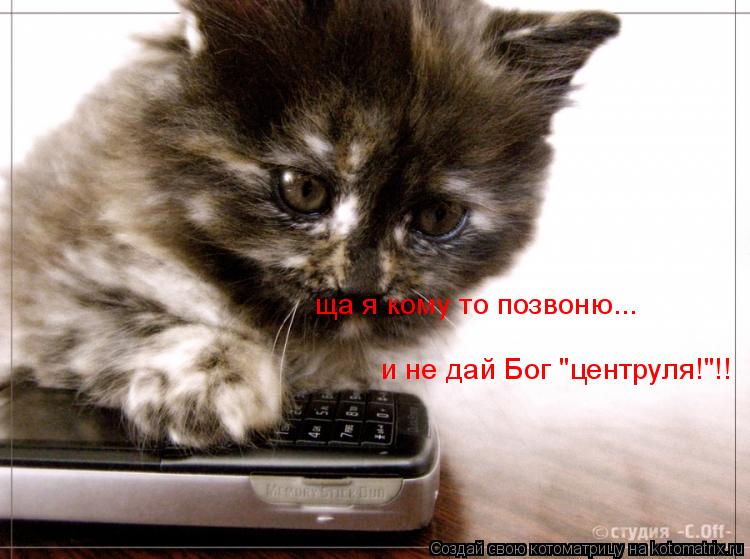 ща я кому то позвоню... и не дай Бог "центруля!"!!... Котоматрица: ща я кому то позвоню... и не дай Бог "центруля!"!!