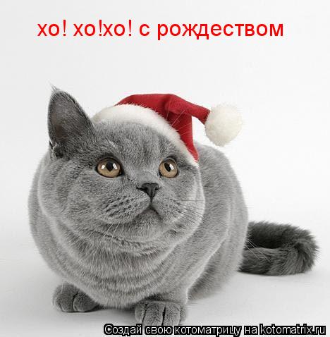 хо! хо!хо! с рождеством... Котоматрица: хо! хо!хо! с рождеством