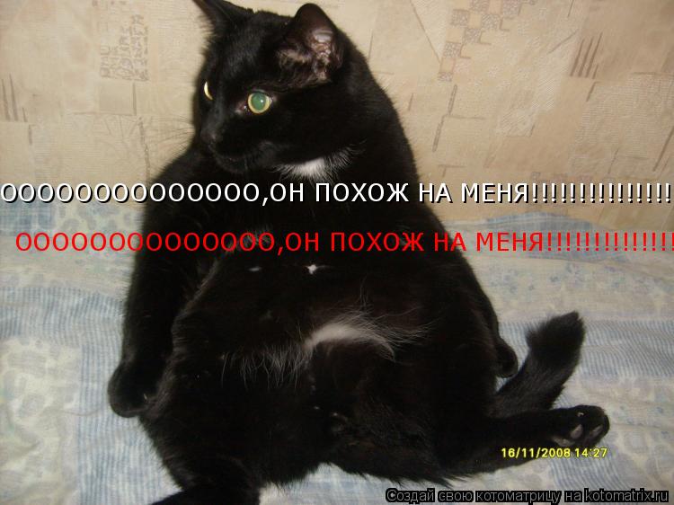 ОООООООООООООО,ОН ПОХОЖ НА МЕНЯ!!!!!!!!!!!!!!!!!!!!!!!!!!!! ОООООООООООООО,ОН ПОХОЖ НА МЕНЯ!!!!!!!!!!... Котоматрица: ОООООООООООООО,ОН ПОХОЖ НА МЕНЯ!!!!!!!!!!!!!!!!!!!!!!!!!!!! ОООООООООООООО,ОН ПОХОЖ НА МЕНЯ!!!!!!!!!!!!!!!!!!!!!!!!!!!! ОООООООООООООО,ОН ПОХОЖ НА МЕН