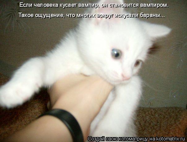Если человека кусает вампир, он становится вампиром. Такое ощущение, что многих вокруг искусали баран... Котоматрица: Если человека кусает вампир, он становится вампиром. Такое ощущение, что многих вокруг искусали бараны...