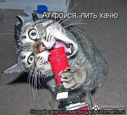 Аткройся, пить хачю... Котоматрица: Аткройся, пить хачю