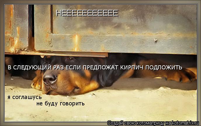 Котоматрица: НЕЕЕЕЕЕЕЕЕЕЕ  В СЛЕДУЮЩИЙ РАЗ ЕСЛИ ПРЕДЛОЖАТ КИРПИЧ ПОДЛОЖИТЬ  В СЛЕДУЮЩИЙ РАЗ ЕСЛИ ПРЕДЛОЖАТ КИРПИЧ ПОДЛОЖИТЬ  я соглашусь  не буду говори