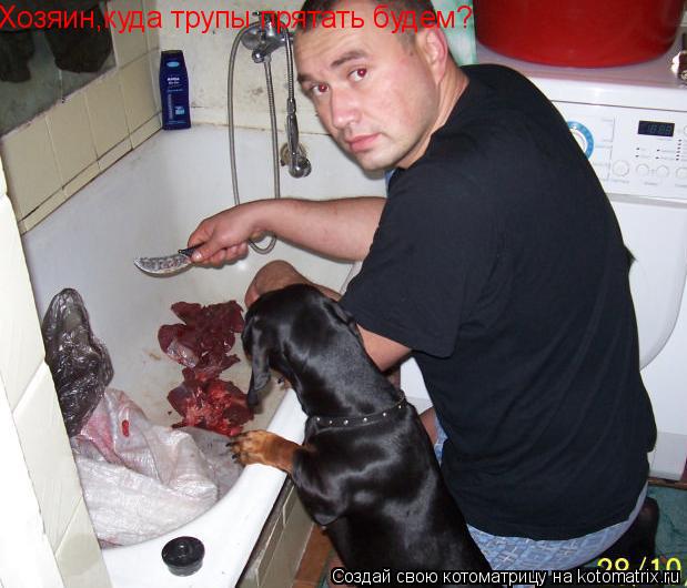 Хозяин,куда трупы прятать будем?... Котоматрица: Хозяин,куда трупы прятать будем?