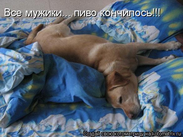 Котоматрица: Все мужики... пиво кончилось!!!