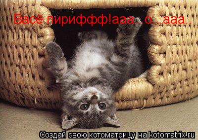 Котоматрица: Васё пириффф!ааа...о...ааа..