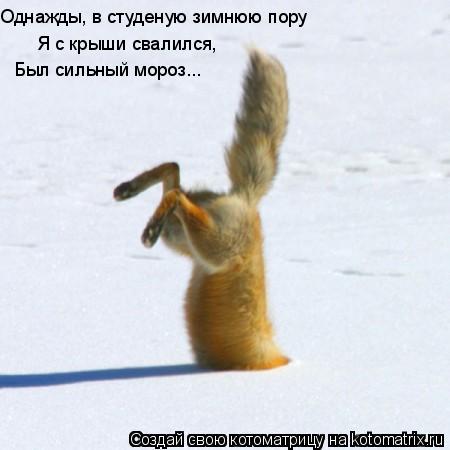 Однажды, в студеную зимнюю пору Был сильный мороз... Я с крыши свалился,... Котоматрица: Однажды, в студеную зимнюю пору Был сильный мороз... Я с крыши свалился,