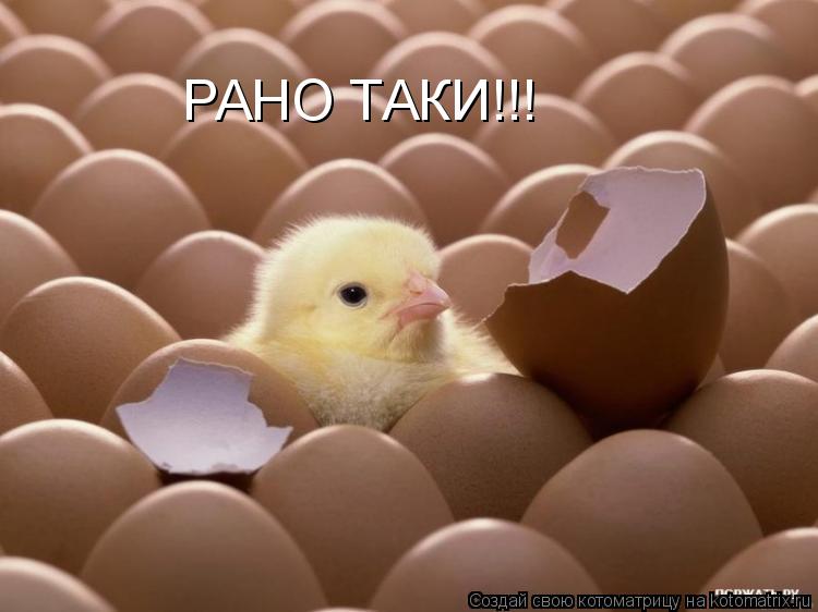 РАНО ТАКИ!!!... Котоматрица: РАНО ТАКИ!!!