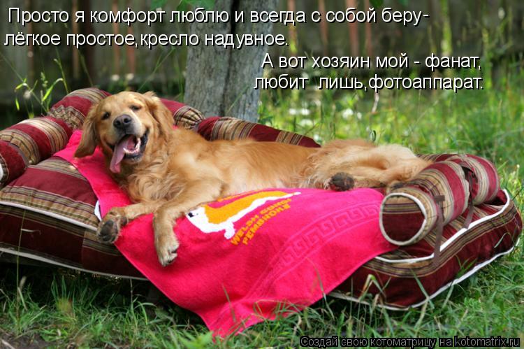 Просто я комфорт люблю и всегда с собой беру лёгкое простое,кресло надувное. - А вот хозяин мой - фан... Котоматрица: Просто я комфорт люблю и всегда с собой беру лёгкое простое,кресло надувное. - А вот хозяин мой - фанат, любит лишь,фотоаппарат.