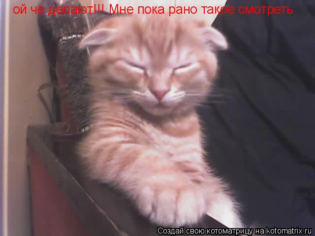ой че делают!!! Мне пока рано такое смотреть... Котоматрица: ой че делают!!! Мне пока рано такое смотреть