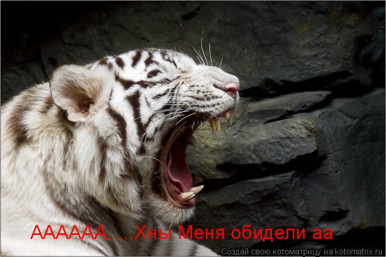 АААААА.....Хны Меня обидели аа... Котоматрица: АААААА.....Хны Меня обидели аа