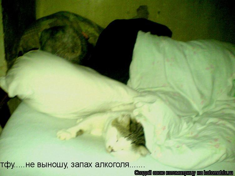 тфу.....не выношу, запах алкоголя.......... Котоматрица: тфу.....не выношу, запах алкоголя.......