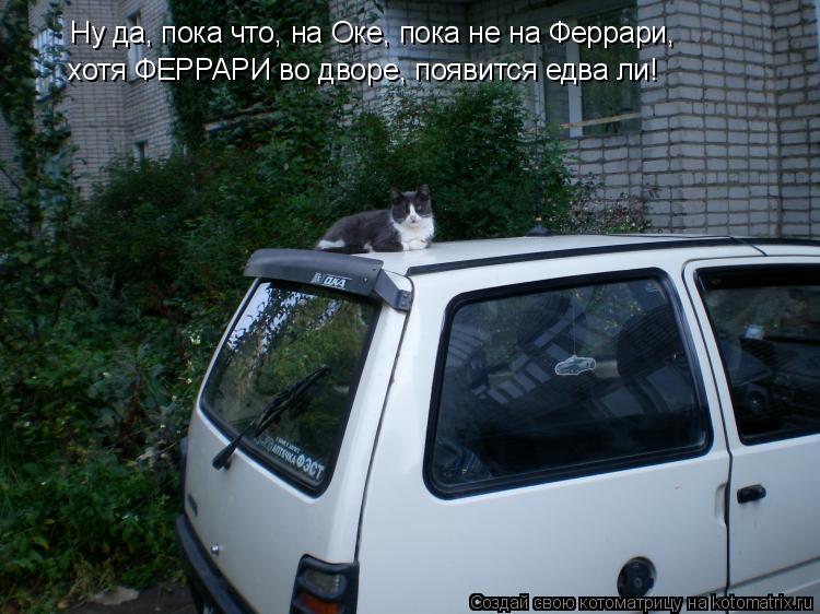 Котоматрица: Ну да, пока что, на Оке, пока не на Феррари,  хотя ФЕРРАРИ во дворе, появится едва ли!