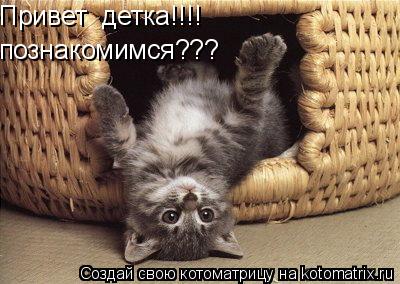 Котоматрица: Привет  детка!!!! познакомимся???