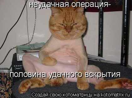 неудачная операция- половина удачного вскрытия... Котоматрица: неудачная операция- половина удачного вскрытия