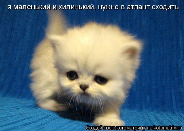 я маленький и хилинький, нужно в атлант сходить... Котоматрица: я маленький и хилинький, нужно в атлант сходить