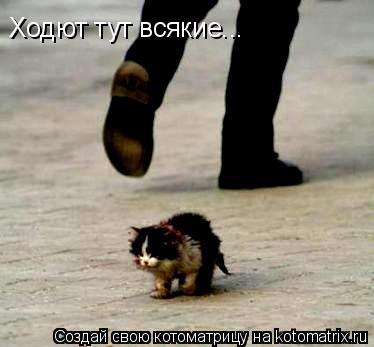 Ходют тут всякие...... Котоматрица: Ходют тут всякие...