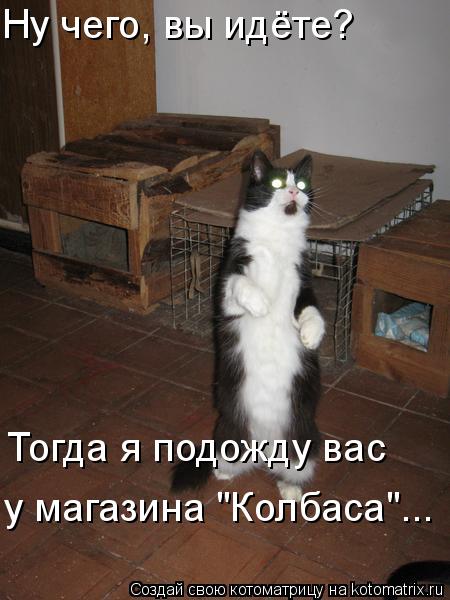 Ну чего, вы идёте? Тогда я подожду вас у магазина "Колбаса"...... Котоматрица: Ну чего, вы идёте? Тогда я подожду вас у магазина "Колбаса"...