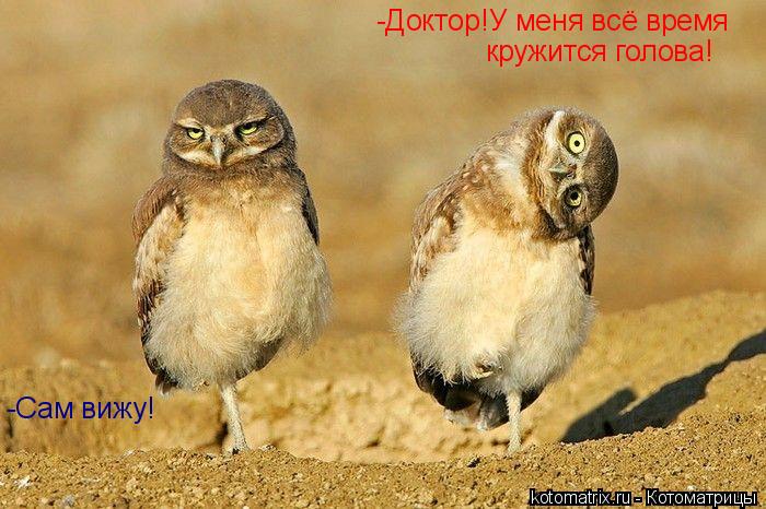 -Доктор!У меня всё время кружится голова! -Сам вижу!... Котоматрица: -Доктор!У меня всё время кружится голова! -Сам вижу!
