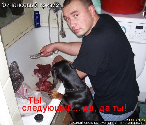 Финансовый кризис... ТЫ следующий... да, да ты!... Котоматрица: Финансовый кризис... ТЫ следующий... да, да ты!