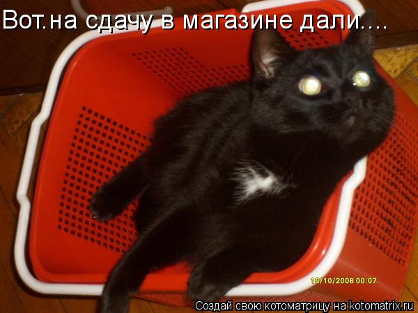Вот.на сдачу в магазине дали....... Котоматрица: Вот.на сдачу в магазине дали....