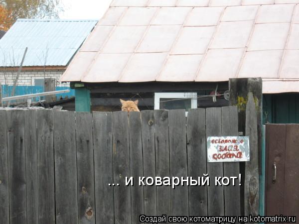 ... и коварный кот!... Котоматрица: ... и коварный кот!