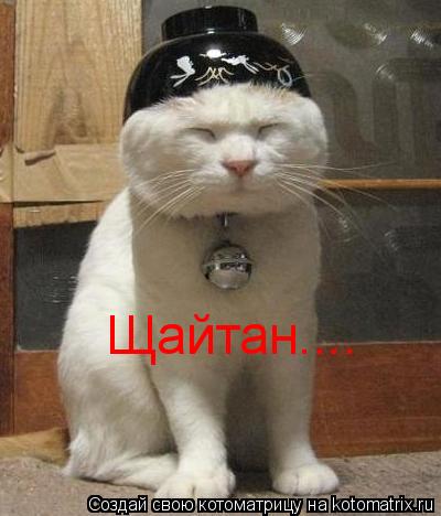 Щайтан....... Котоматрица: Щайтан....