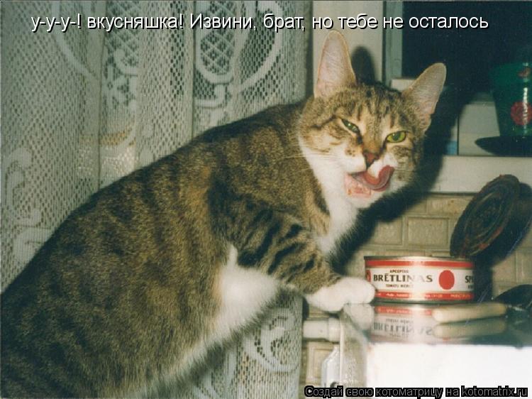 у-у-у-! вкусняшка! Извини, брат, но тебе не осталось... Котоматрица: у-у-у-! вкусняшка! Извини, брат, но тебе не осталось