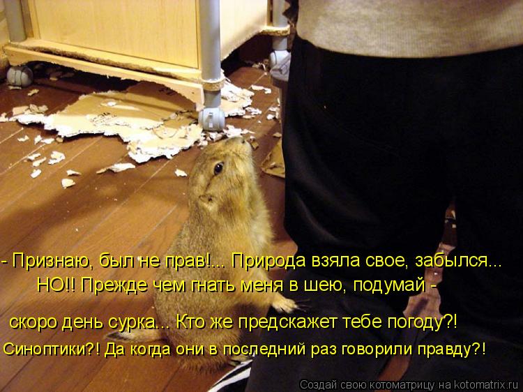 - Признаю, был не прав!... Природа взяла свое, забылся... НО!! Прежде чем гнать меня в шею, подумай -... Котоматрица: - Признаю, был не прав!... Природа взяла свое, забылся... НО!! Прежде чем гнать меня в шею, подумай - скоро день сурка... Кто же предскажет тебе пог