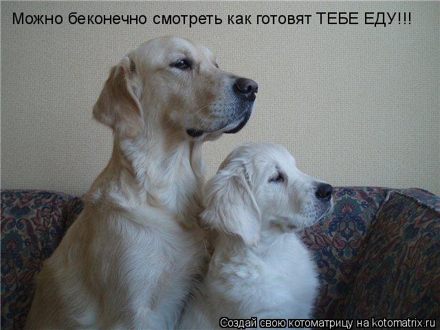 Котоматрица: Можно беконечно смотреть как готовят ТЕБЕ ЕДУ!!!