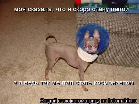 моя сказала, что я скоро стану папой а я ведь так мечтал стать космонавтом... Котоматрица: моя сказала, что я скоро стану папой а я ведь так мечтал стать космонавтом