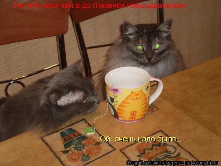 Не пить мой чай,а до глазенки повыцарапываю Ой ,очень надо было...... Котоматрица: Не пить мой чай,а до глазенки повыцарапываю Ой ,очень надо было...