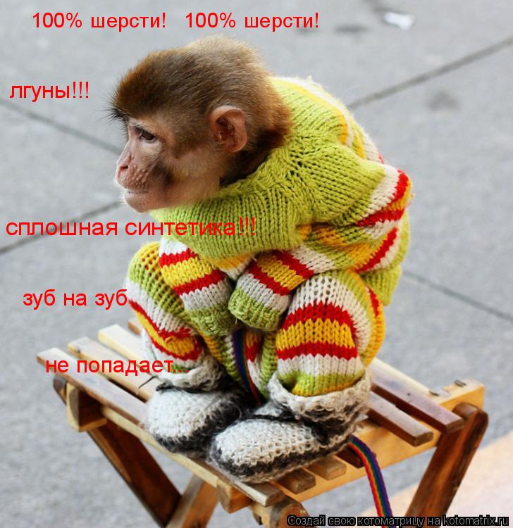 лгуны!!! не попадает... 100% шерсти! 100% шерсти! зуб на зуб сплошная синтетика!!!... Котоматрица: лгуны!!! не попадает... 100% шерсти! 100% шерсти! зуб на зуб сплошная синтетика!!!