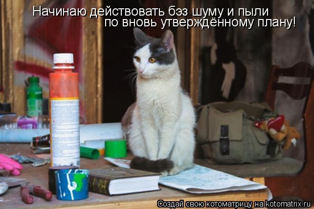 Начинаю действовать бэз шуму и пыли по вновь утверждённому плану!... Котоматрица: Начинаю действовать бэз шуму и пыли по вновь утверждённому плану!