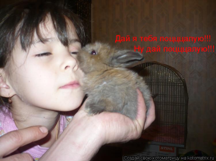 Дай я тебя поцццалую!!! Ну дай поцццалую!!!... Котоматрица: Дай я тебя поцццалую!!! Ну дай поцццалую!!!