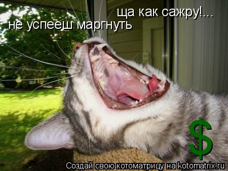 ща как сажру!... не успееш маргнуть $... Котоматрица: ща как сажру!... не успееш маргнуть $