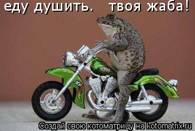 еду душить. твоя жаба!... Котоматрица: еду душить. твоя жаба!