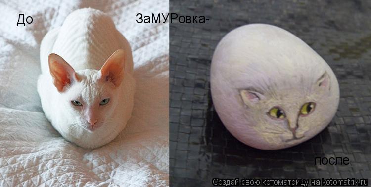 ЗаМУРовка- До после... Котоматрица: ЗаМУРовка- До после