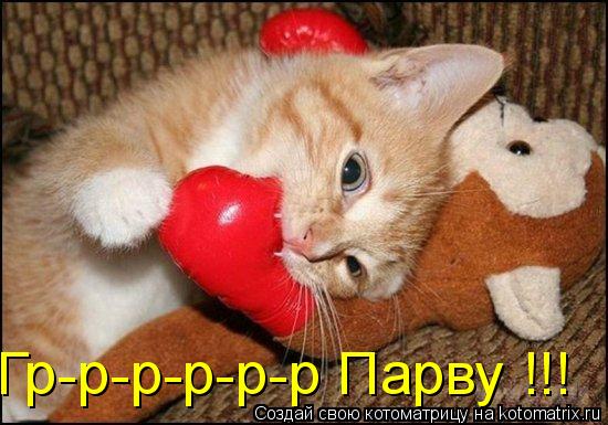 Гр-р-р-р-р-р Парву !!!... Котоматрица: Гр-р-р-р-р-р Парву !!!