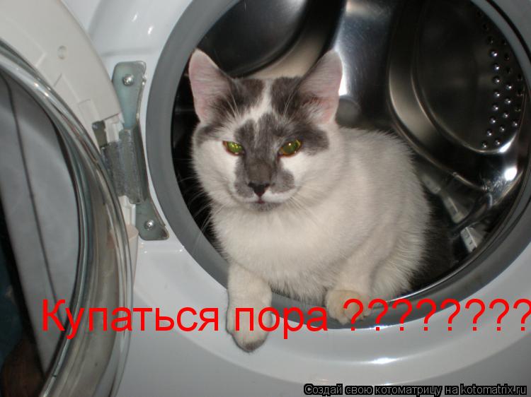 Купаться пора ???????????... Котоматрица: Купаться пора ???????????