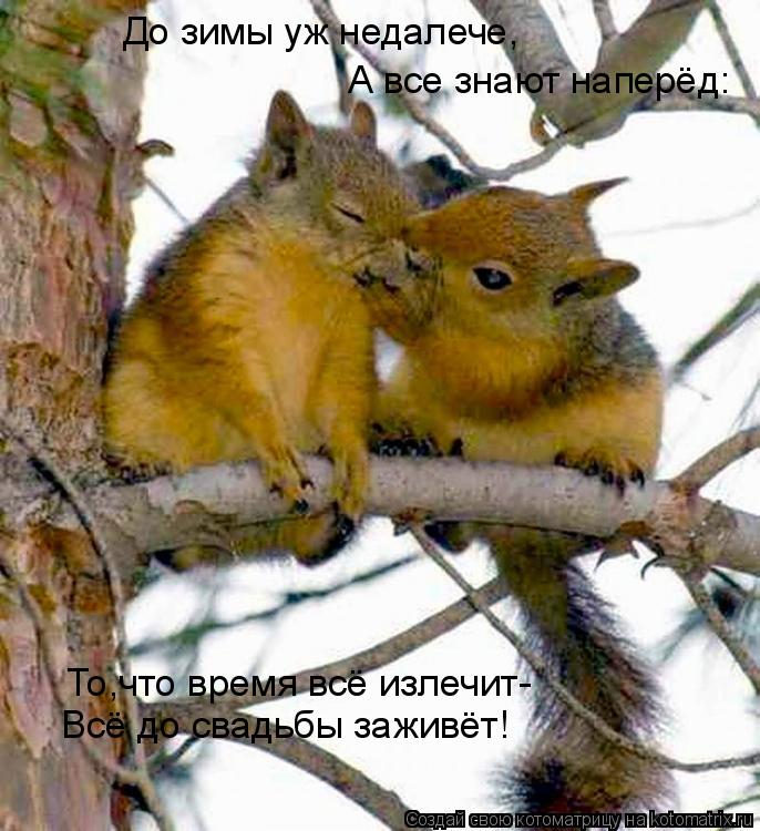 А все знают наперёд: До зимы уж недалече, То,что время всё излечит- Всё до свадьбы заживёт!... Котоматрица: А все знают наперёд: До зимы уж недалече, То,что время всё излечит- Всё до свадьбы заживёт!