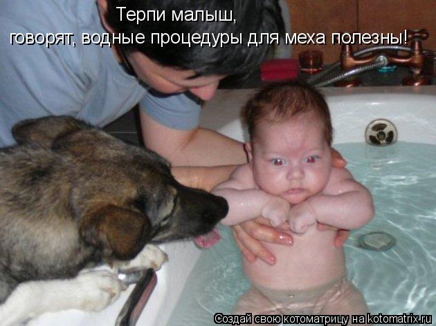 Терпи малыш, говорят, водные процедуры для меха полезны!... Котоматрица: Терпи малыш, говорят, водные процедуры для меха полезны!