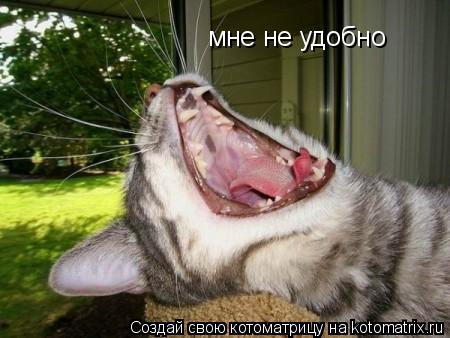 мне не удобно... Котоматрица: мне не удобно