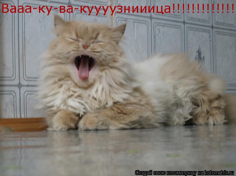 Вааа-ку-ва-куууузнииица!!!!!!!!!!!!!!!!!!!!... Котоматрица: Вааа-ку-ва-куууузнииица!!!!!!!!!!!!!!!!!!!!