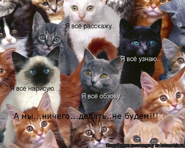 Я всё расскажу.. Я всё нарисую... Я всё узнаю... Я всё обзову... А мы...ничего...делать..не будем!!!... Котоматрица: Я всё расскажу.. Я всё нарисую... Я всё узнаю... Я всё обзову... А мы...ничего...делать..не будем!!!