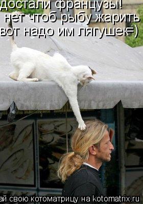 достали французы! нет чтоб рыбу жарить вот надо им лягушек =)... Котоматрица: достали французы! нет чтоб рыбу жарить вот надо им лягушек =)