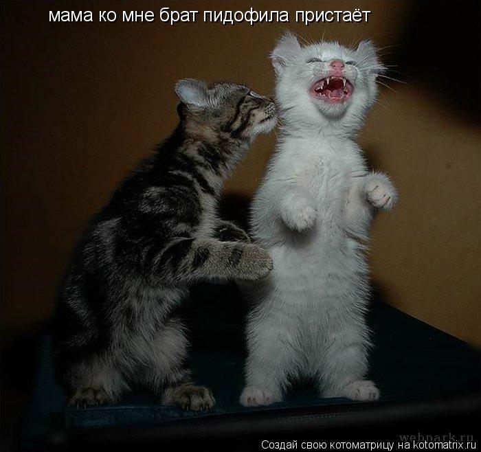 мама ко мне брат пидофила пристаёт... Котоматрица: мама ко мне брат пидофила пристаёт