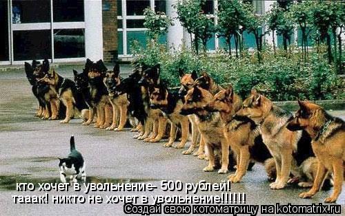 кто хочет в увольнение- 500 рублей! тааак! никто не хочет в увольнение!!!!!!... Котоматрица: кто хочет в увольнение- 500 рублей! тааак! никто не хочет в увольнение!!!!!!