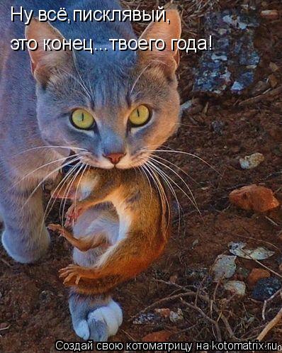 Ну всё,писклявый, это конец...твоего года!... Котоматрица: Ну всё,писклявый, это конец...твоего года!